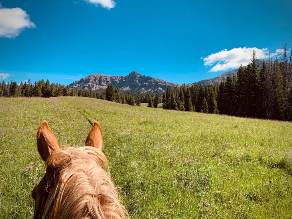 trailride2020 View of hills from horseback.