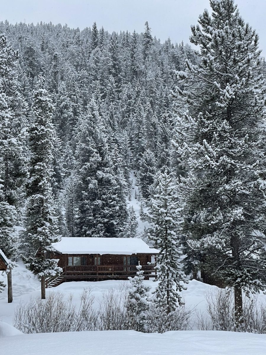 Snowy Cabin on 320 Guest Ranch.
