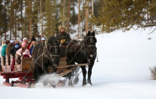 Montana Winter Vacation: A sleigh ride amid the Montana mountains.