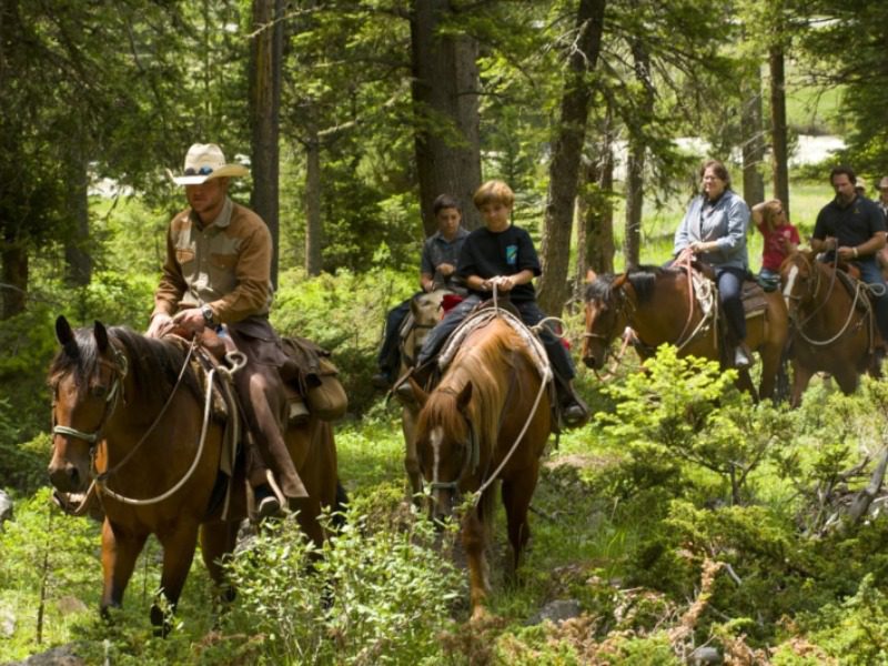 Montana Horseback Riding: A group of people being led by an experienced wrangler traverse a forest trail near 320 Guest Ranch in Gallatin Gateway, MT.