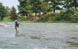 Gallatin River Fishing: An experienced angler casts his fly rod while wading in the legendary Gallatin River about an hour from Bozeman, MT.