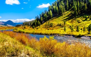 Fall in Montana: A stunning fall landscape featuring the Gallatin River in Montana.