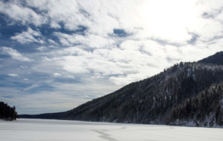 Hebgen Lake